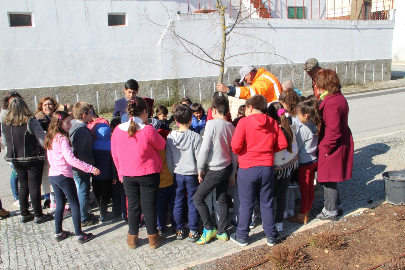 Dia Mundial da Árvore 2018
