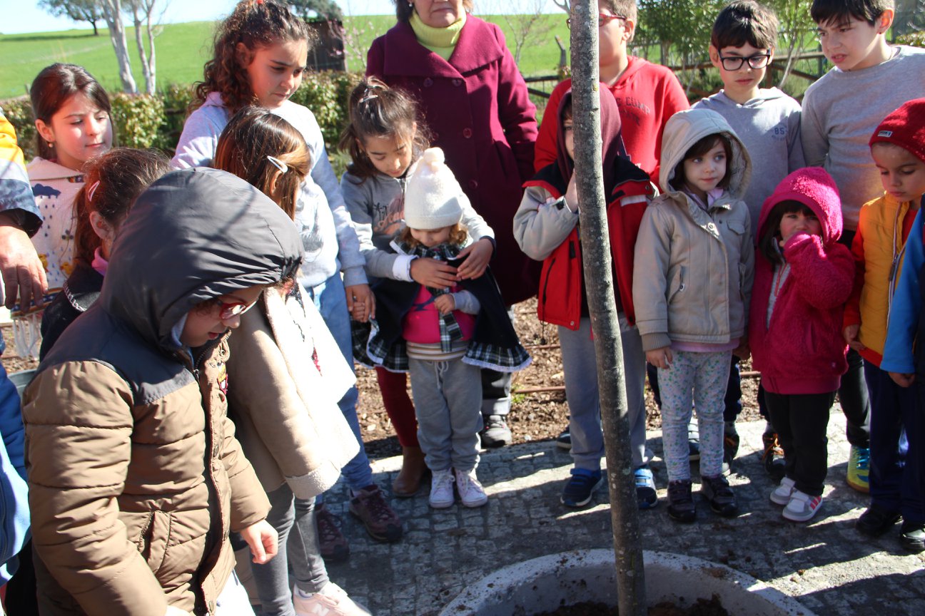 Dia Mundial da Árvore 2018