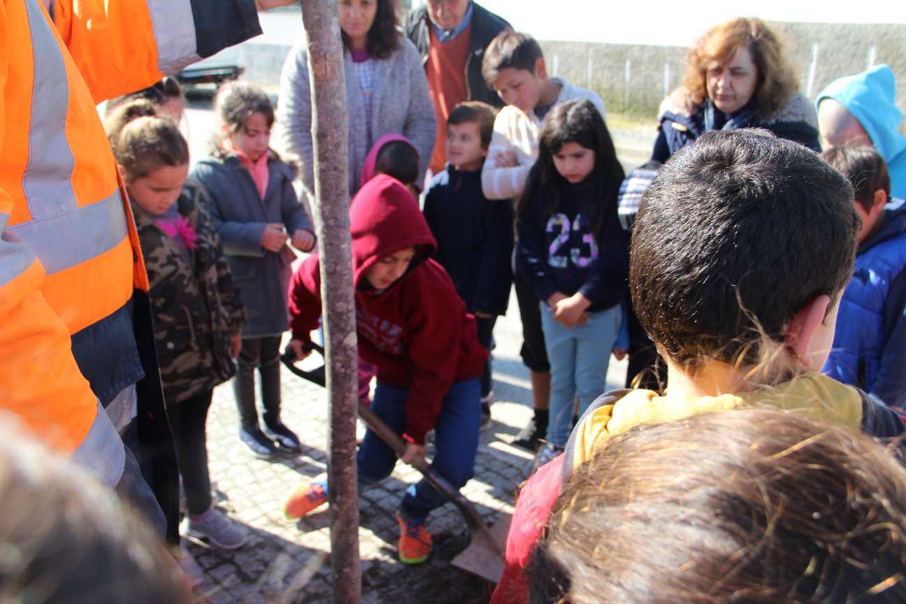 Dia Mundial da Árvore 2018
