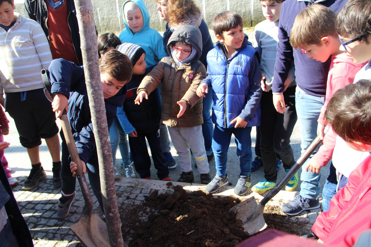 Dia Mundial da Árvore 2018