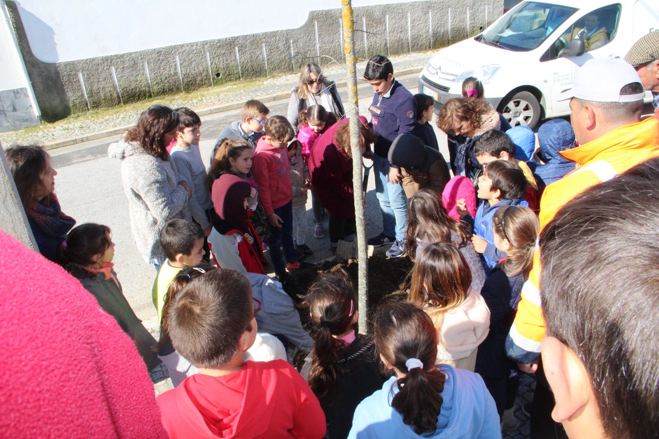 Dia Mundial da Árvore 2018