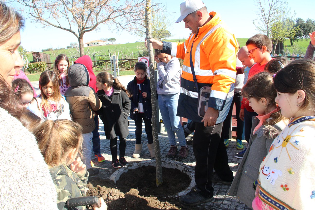 Dia Mundial da Árvore 2018