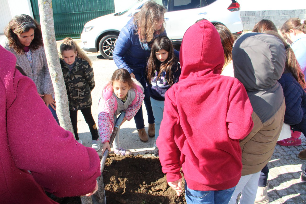 Dia Mundial da Árvore 2018