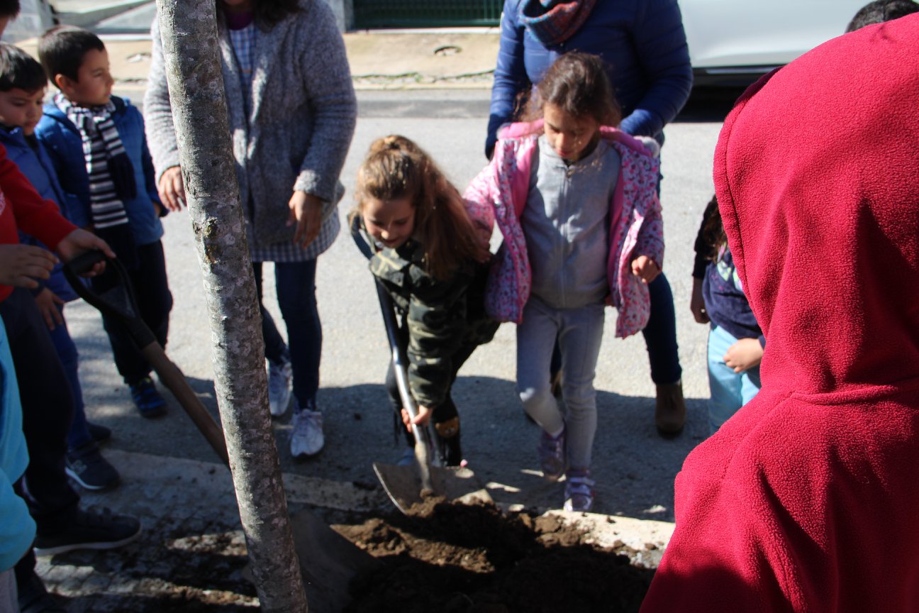 Dia Mundial da Árvore 2018