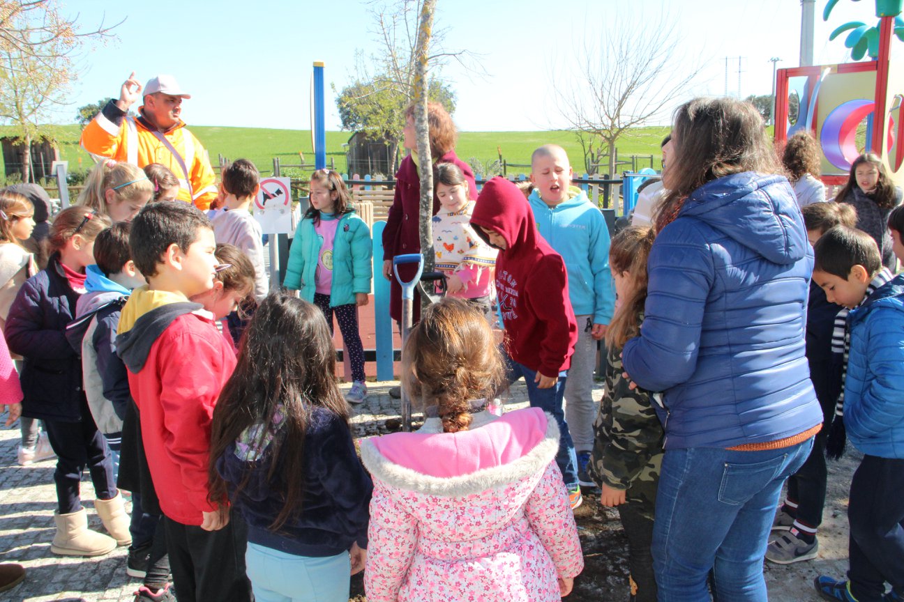 Dia Mundial da Árvore 2018