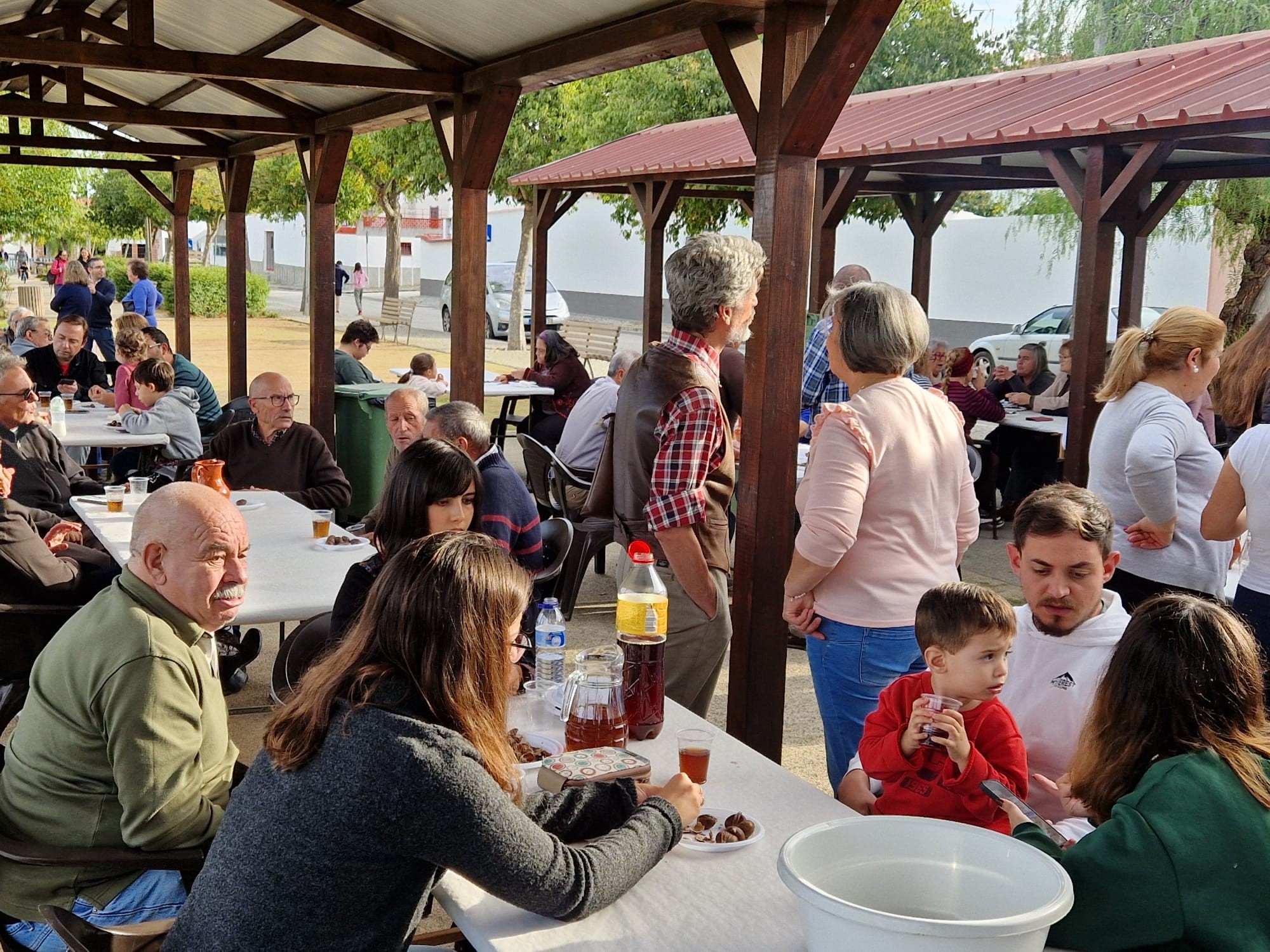 São Martinho 2025: Como foi?