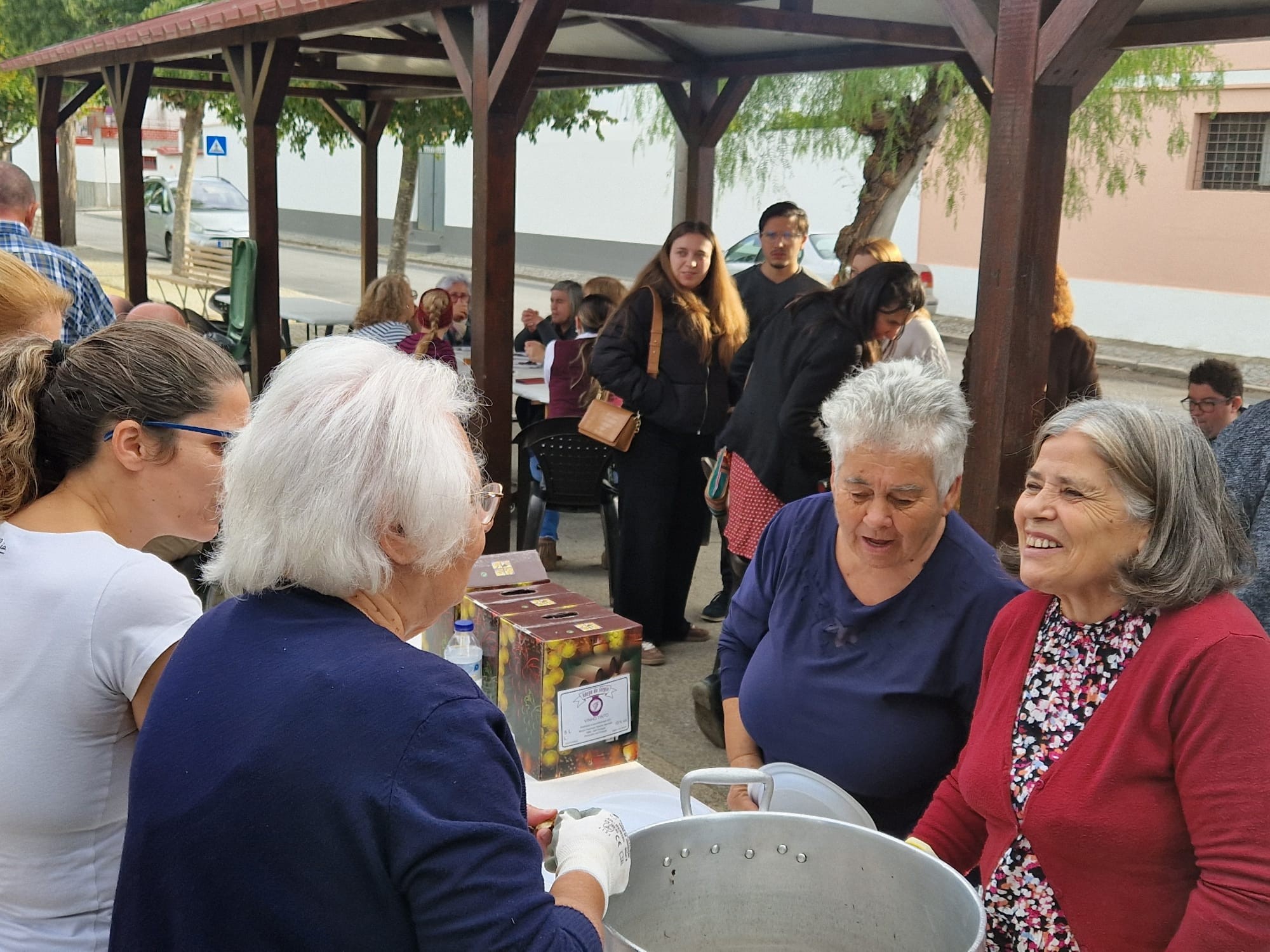 São Martinho 2025: Como foi?