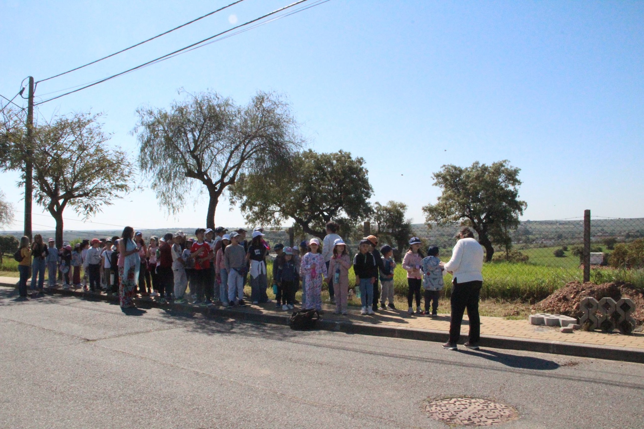 Dia Mundial da Árvore