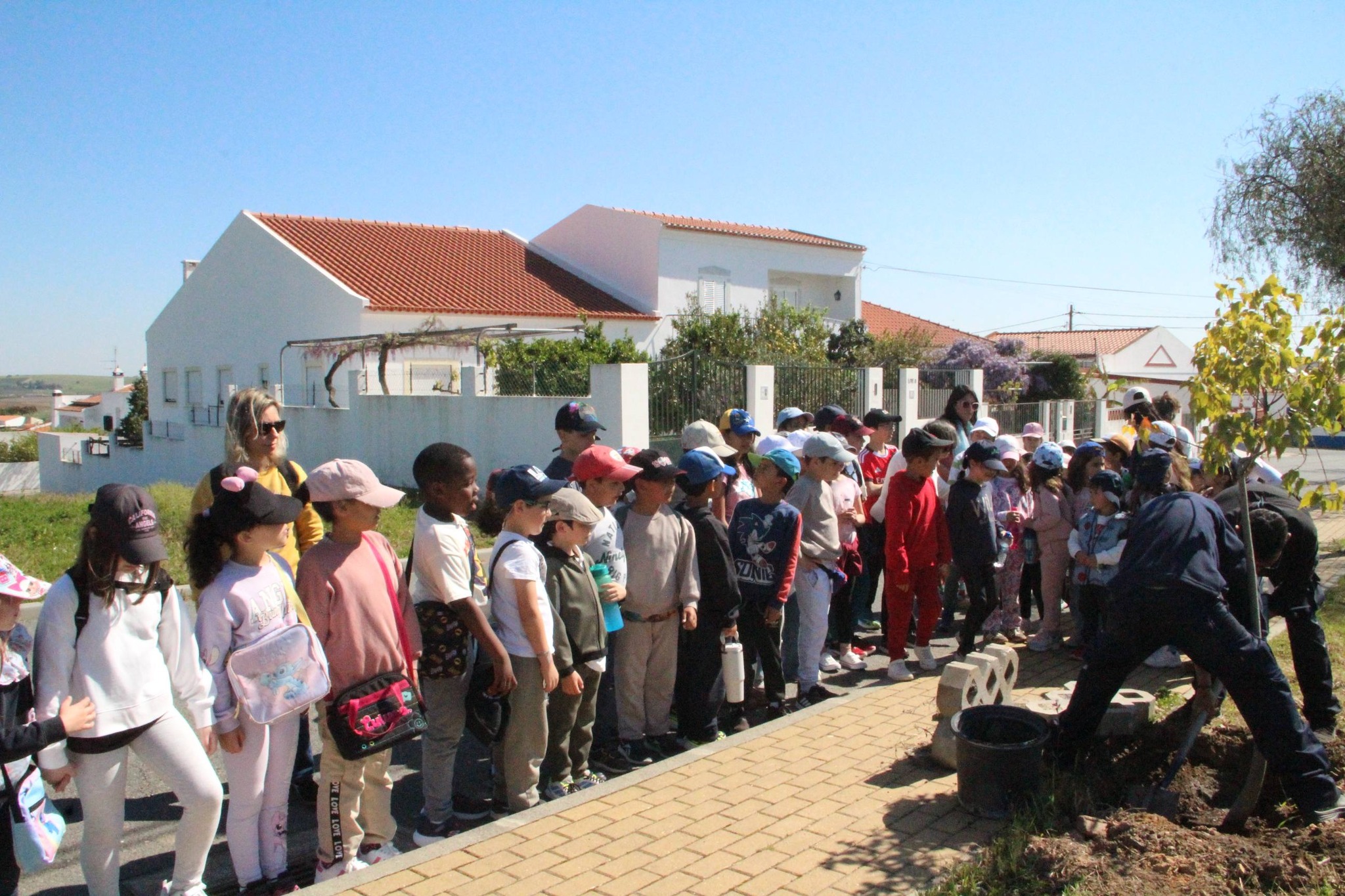 Dia Mundial da Árvore