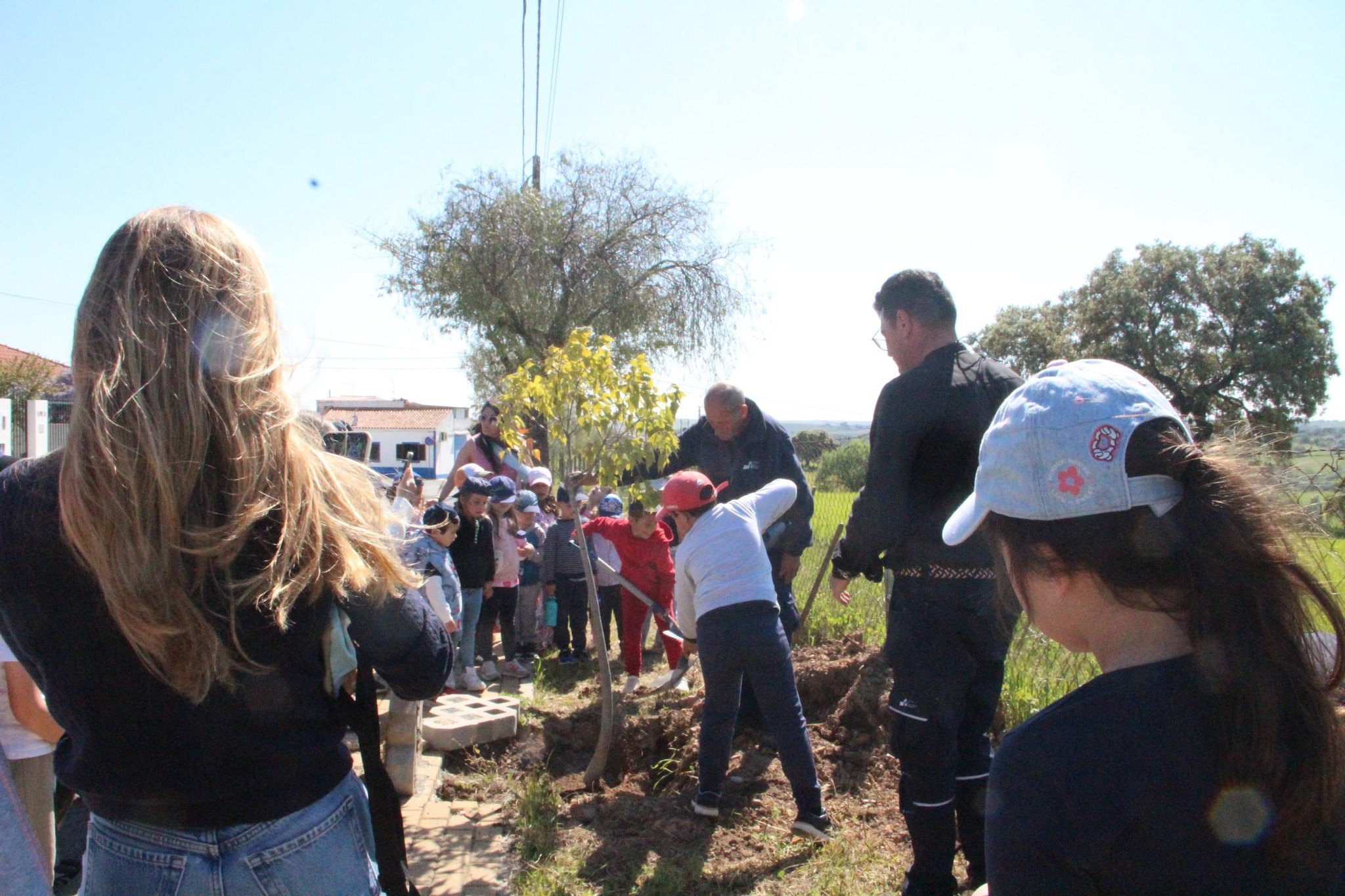 Dia Mundial da Árvore