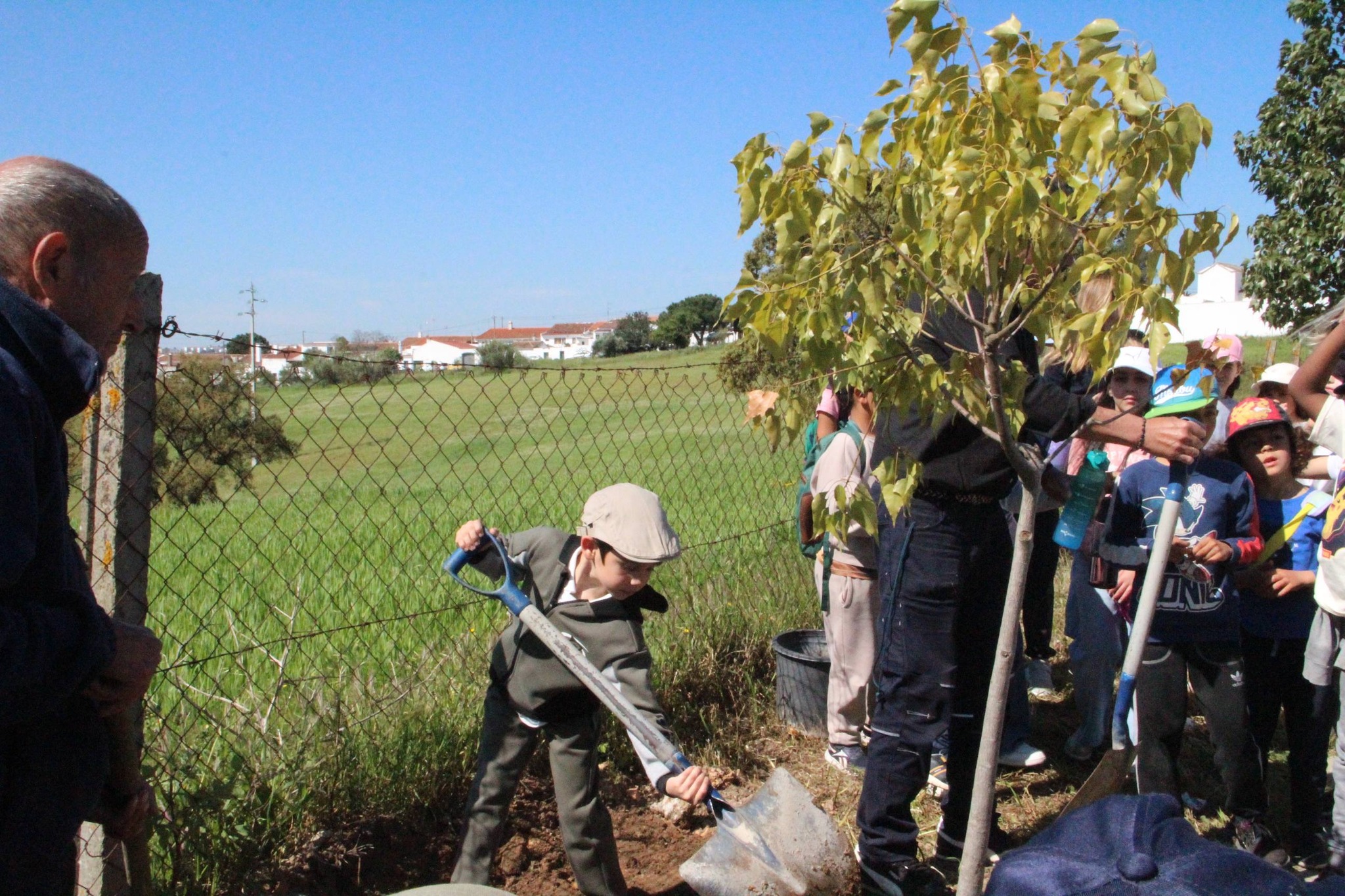 Dia Mundial da Árvore