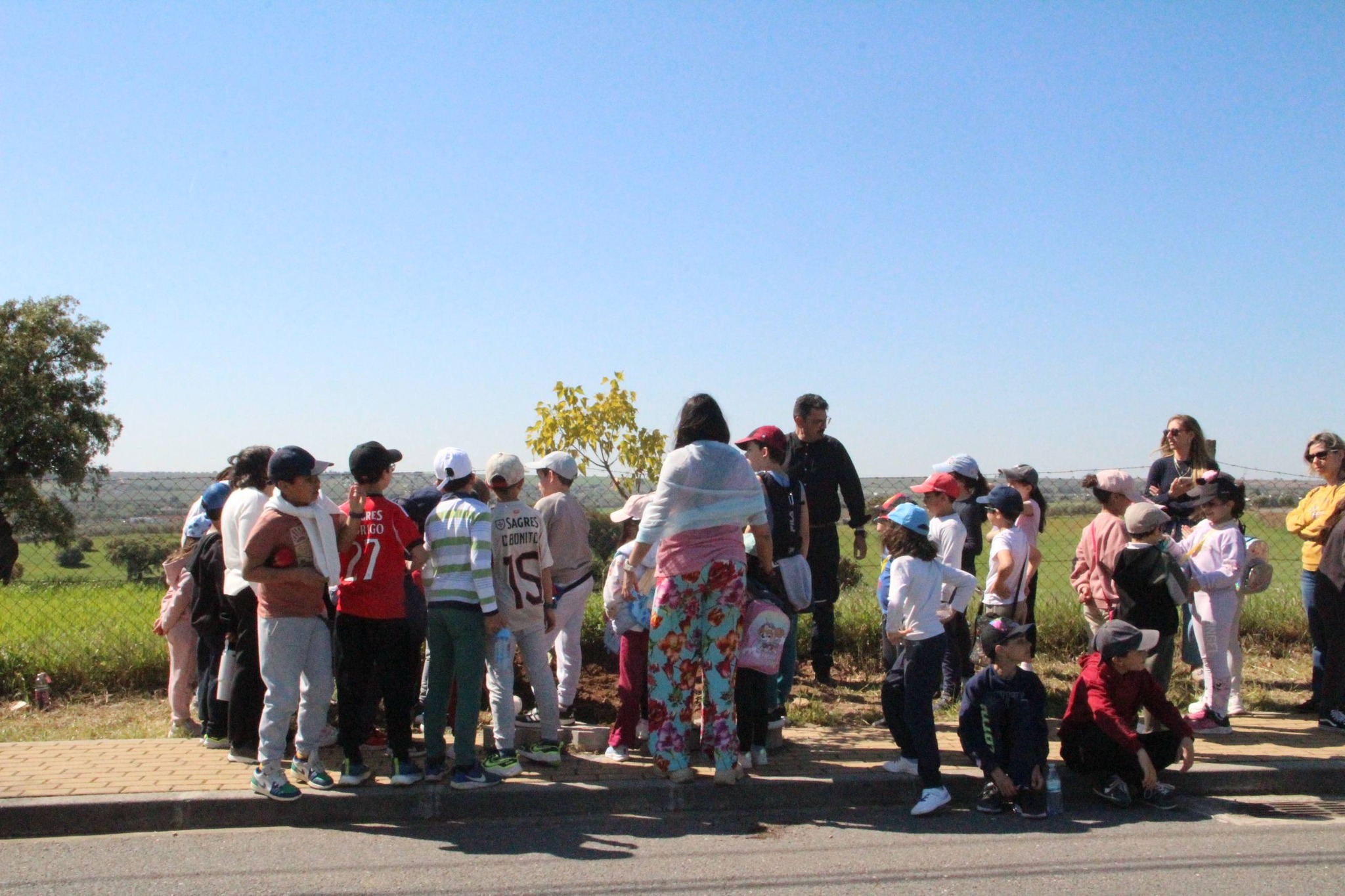 Dia Mundial da Árvore