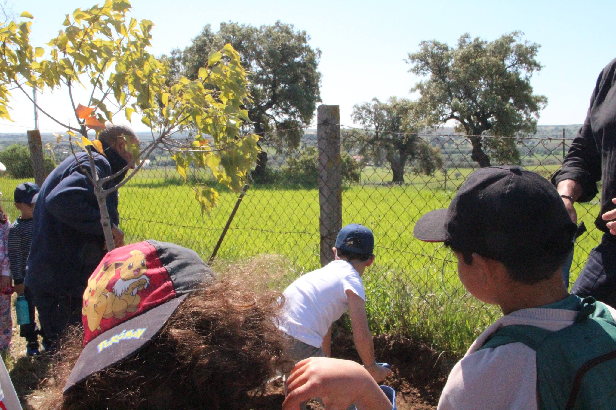 Dia Mundial da Árvore