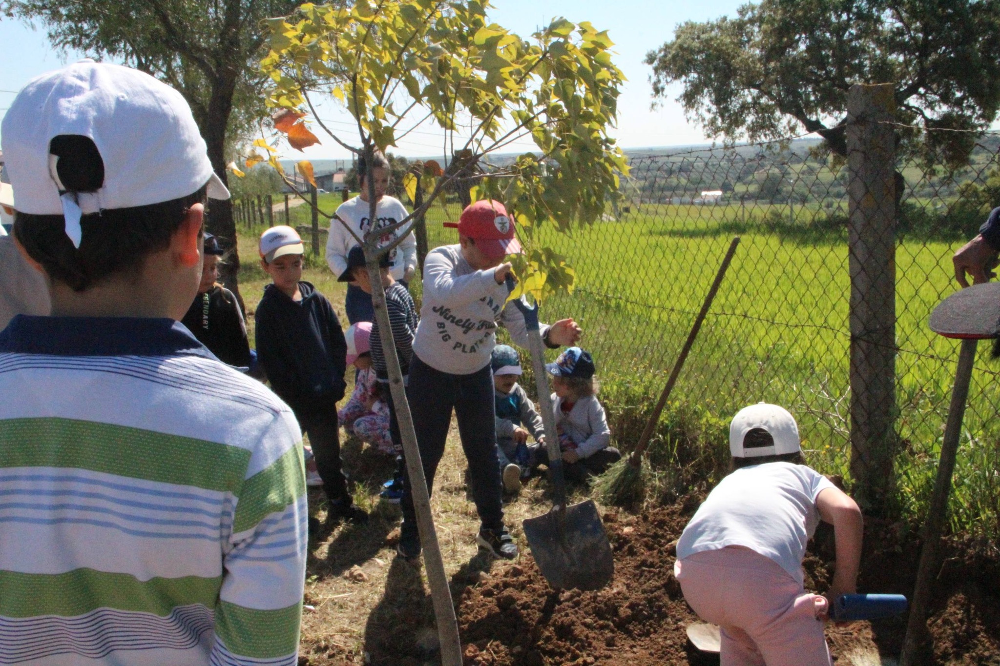 Dia Mundial da Árvore