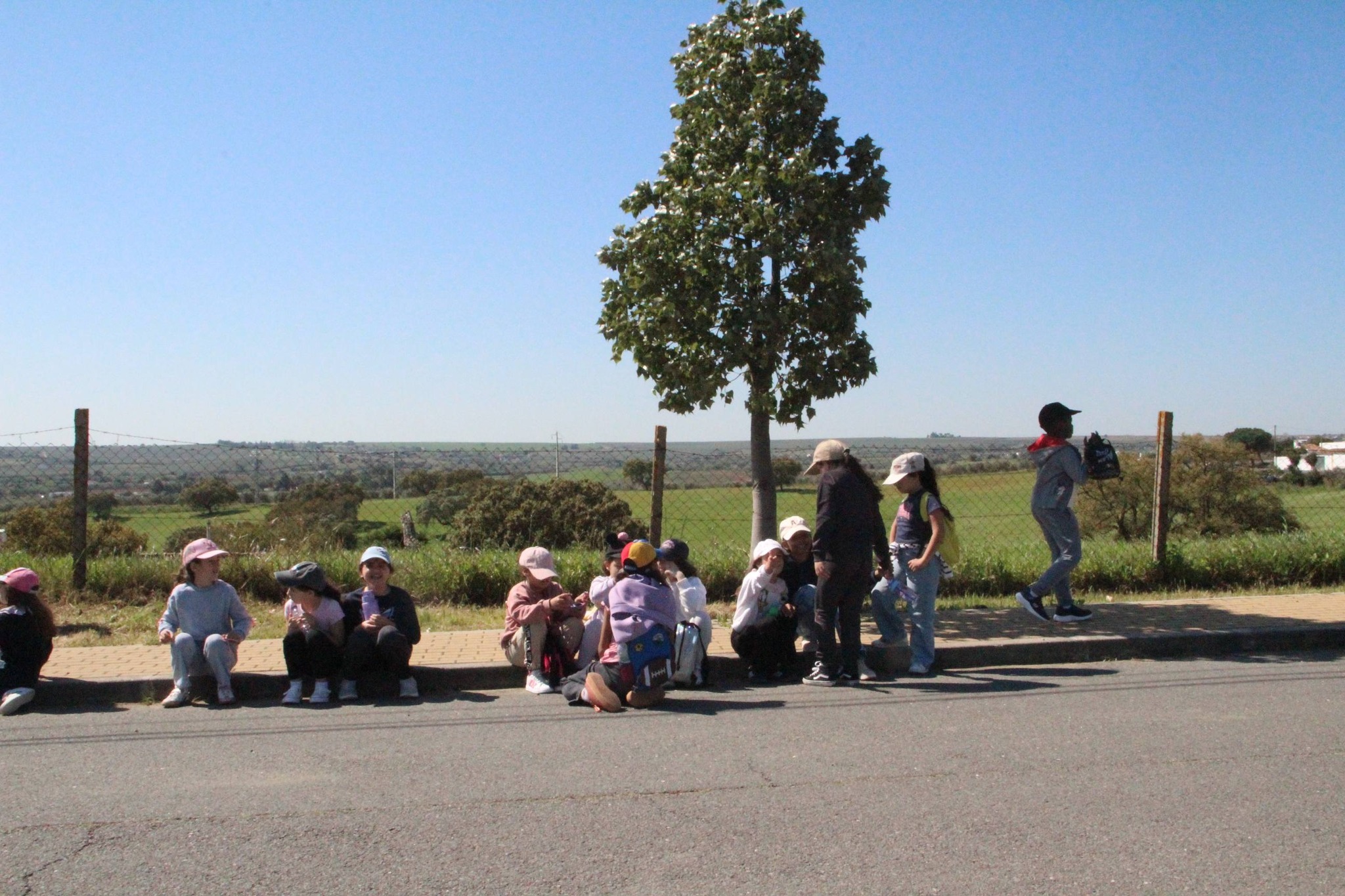 Dia Mundial da Árvore