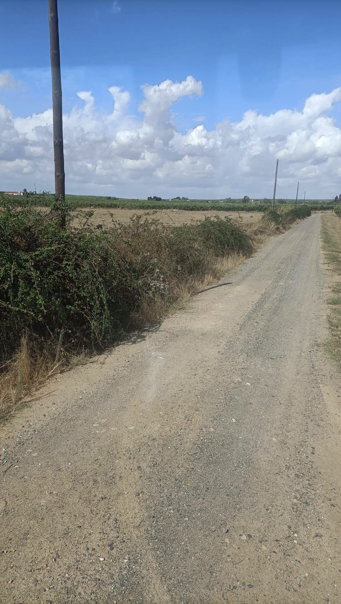 Manutenção e Melhoria dos Caminhos Rurais da Freguesia