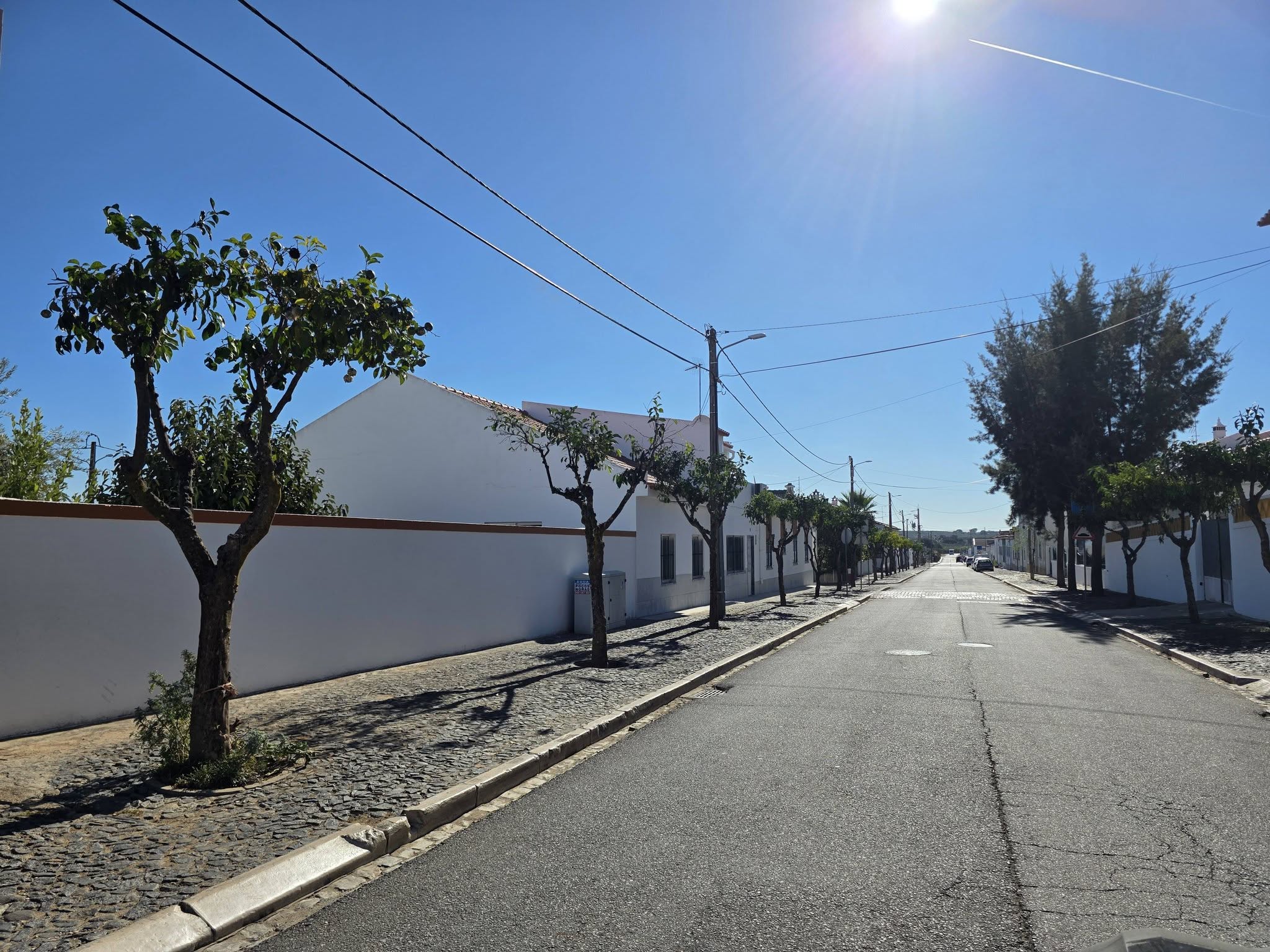 Manutenção e Limpeza do Arvoredo Urbano