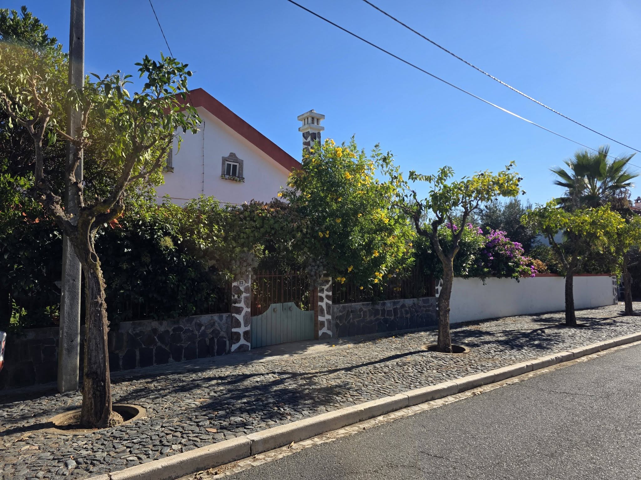 Manutenção e Limpeza do Arvoredo Urbano